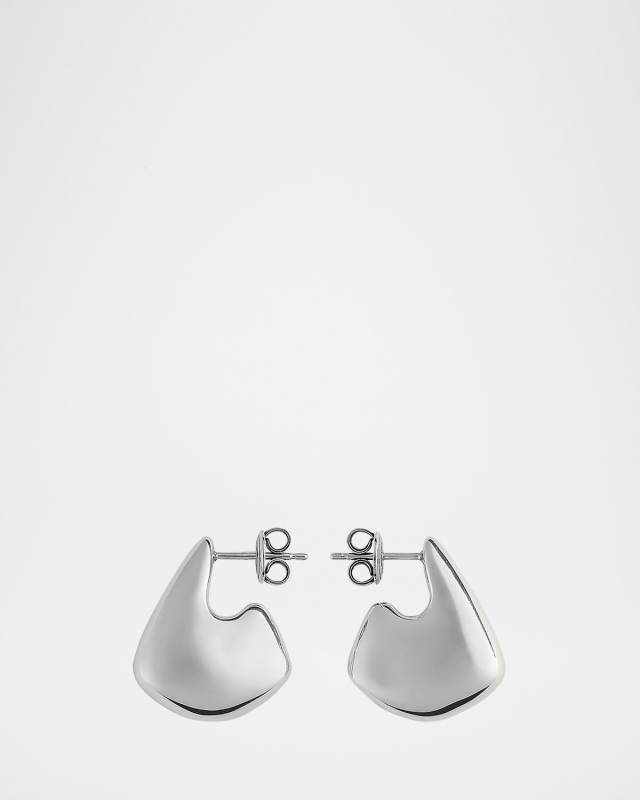 Sterling Silver Sculpted Earrings